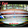 TOYOTA PRADO, Land Cruiser 100, 105, 120, 200 (для комплектации без заднего колеса) CARMEDIA CME-7529C Eagle Eye Night Vision Автомобильная камера заднего вида